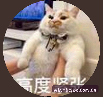 周婷
